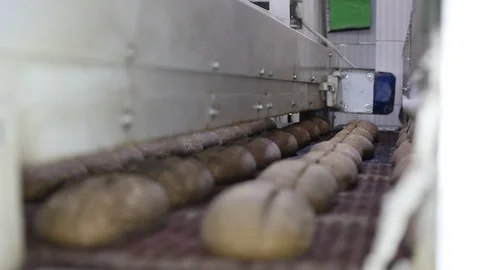 Loaf of bread on the production line in the bakery.  Bread  food production Stock Footage 88619769