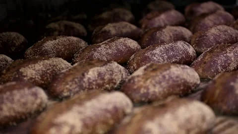 Loaf of bread on the production line in the bakery.  Bread  food production Stock Footage 88619796