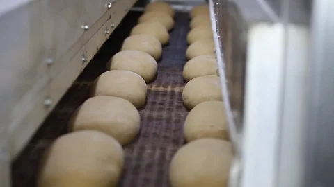 Loaf of bread on the production line in the bakery.  Bread  food production Stock Footage 88619855