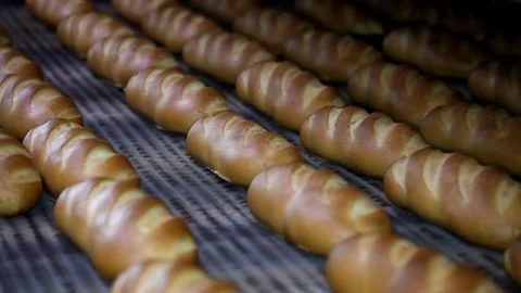 Loaf of bread on the production line in the bakery.  Bread  food production Stock Footage 88619970