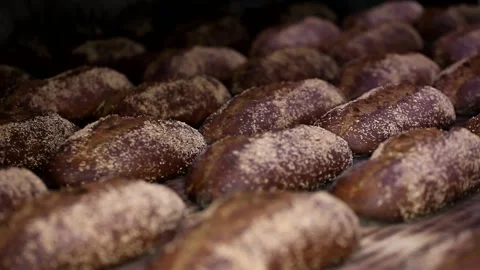 Loaf of bread on the production line in the bakery.  Bread  food production Stock Footage 88619977