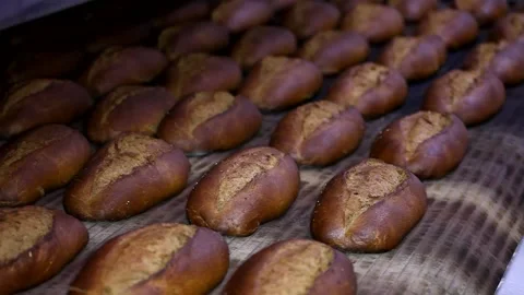 Loaf of bread on the production line in the bakery.  Bread  food production Stock Footage 88619998