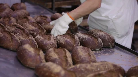 Loaf of bread on the production line in the bakery.  Bread  food production Stock Footage 88620481