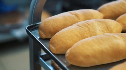 Loaf of bread on the production line in the bakery. Baked loaf of bread in the Stock Footage 93062650