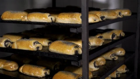 Loaf of bread on the production line in the bakery. Baked loaf of bread in the Stock Footage 105618920