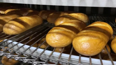 A loaf of bread on the production line in a bakery. Stock Footage 252116568