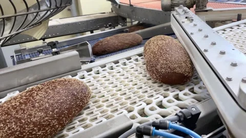 A loaf of bread on the production line in a bakery Stock Footage 252116729