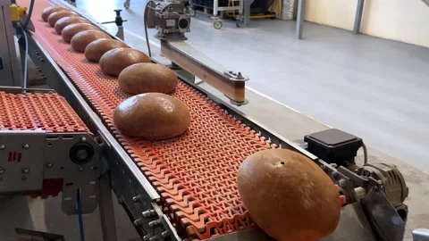 A loaf of bread on the production line in a bakery. Stock Footage 252116817