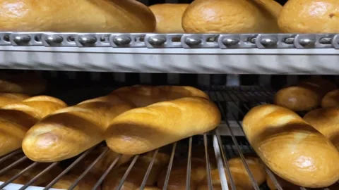 A loaf of bread on the production line in a bakery. Stock Footage 252117251