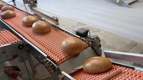 A loaf of bread on the production line in a bakery Stock Footage 252117339
