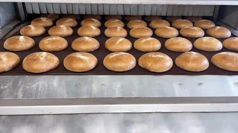 A loaf of bread on the production line in a bakery. Stock Footage 252117394