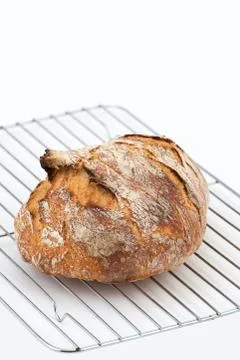 Loaf of crusty bread Stock Photos