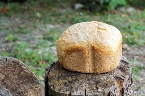 Loaf of fresh warm bread on tree stump Foto stock