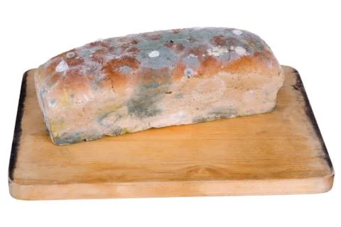 Loaf of moldy bread on white Stock Photos