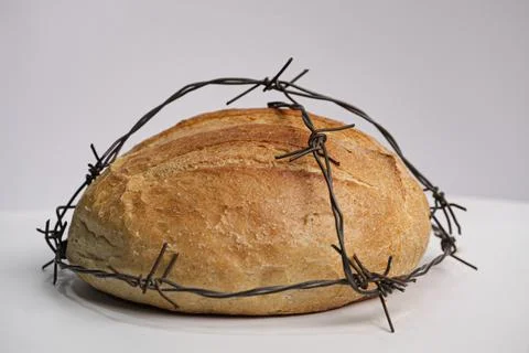 A loaf of round wheat bread wrapped with barbed wire, white background. The Stock Photos