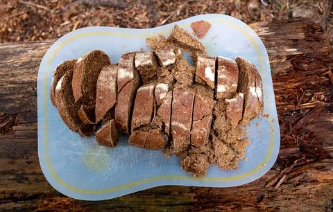 A loaf of rye bread cut into pieces on a lying log in the forest Stock Photos