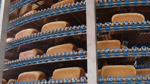 Loafs of bread in a bakery on an automated conveyor belt Stock Footage 154656112