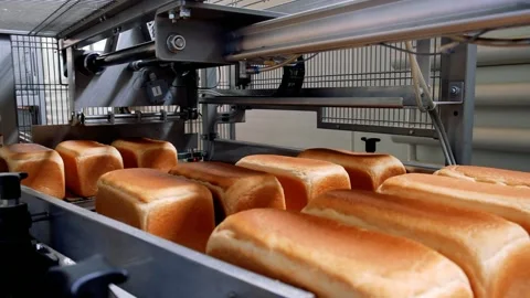 Loafs of bread in a bakery on an automated conveyor belt Stock Footage 163809840