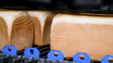 Loafs of bread in a bakery on an automated conveyor belt Vidéo 195954170