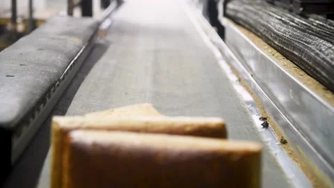 Loafs of bread in a bakery on an automated conveyor belt Stock-Footage 195972731