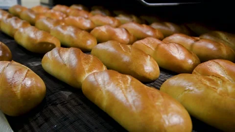 Loafs of bread in a bakery on an automated conveyor belt Vídeo Stock 195972769