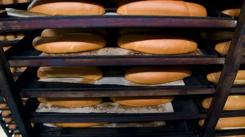 Loafs of bread in a bakery on an automated conveyor belt Stock-Footage 195972784