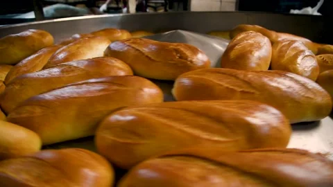 Loafs of bread in a bakery on an automated conveyor belt Vidéo 195972862