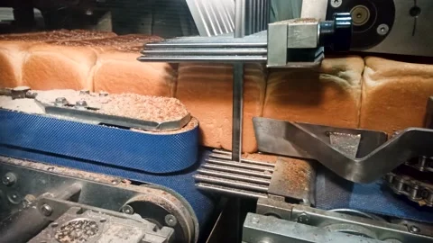 Loafs of bread in a bakery on an automated conveyor belt Vídeos de archivo 195972993