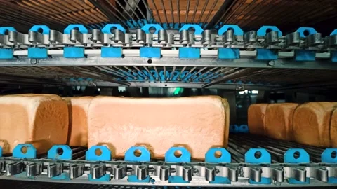 Loafs of bread in a bakery on an automated conveyor belt Stock Footage 197569951