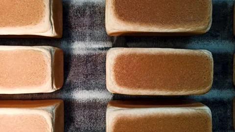 Loafs of bread in a bakery on an automated conveyor belt Stock-Footage 197570128