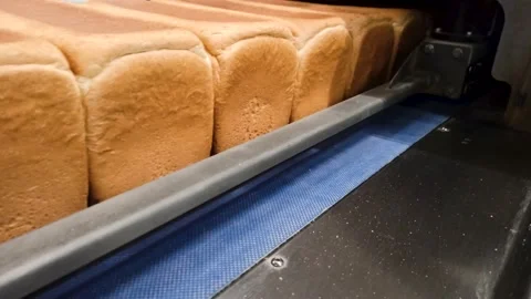 Loafs of bread in a bakery on an automated conveyor belt 库存影片 209145712