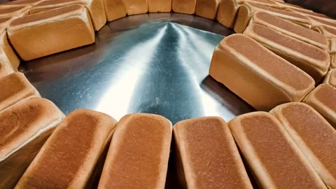 Loafs of bread in a bakery on an automated conveyor belt 스톡 동영상 209145720