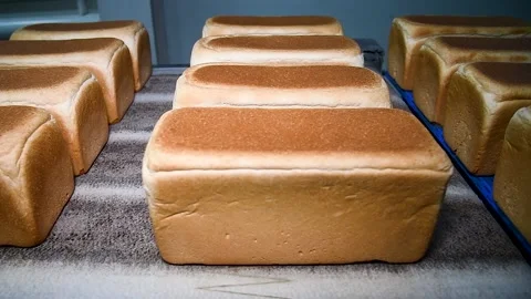 Loafs of bread in a bakery on an automated conveyor belt Stockbeeldmateriaal 220617231