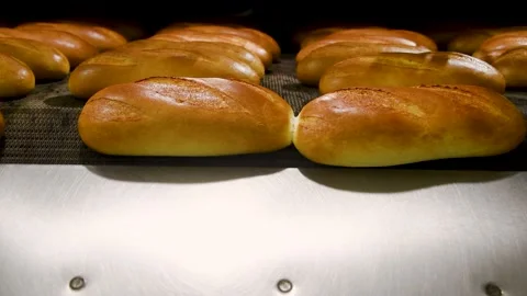 Loafs of bread in a bakery on an automated conveyor belt Vídeos de archivo 220617495