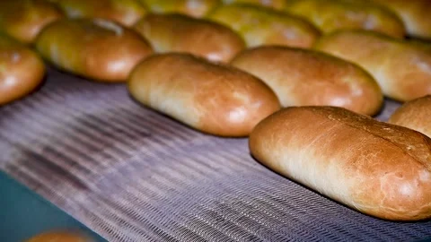 Loafs of bread in a bakery on an automated conveyor belt Stock-Footage 237383869