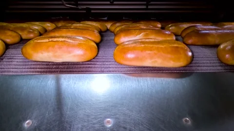 Loafs of bread in a bakery on an automated conveyor belt Vidéo 237384147