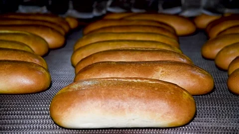 Loafs of bread in a bakery on an automated conveyor belt Stock Footage 273197478