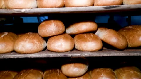 Loafs of bread in a bakery on an automated conveyor belt Stock Footage 273197482