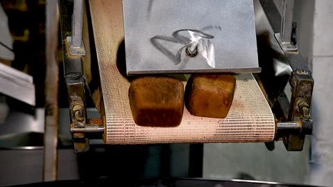 Loafs of bread in a bakery on an automated conveyor belt Stock Footage 281509315