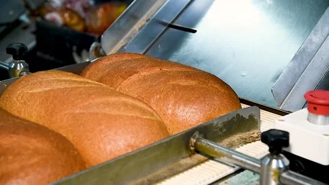 Loafs of bread in a bakery on an automated conveyor belt Stock Footage 281509320