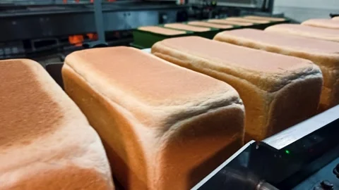 Loafs of bread in a bakery on an automated conveyor belt Stock Footage 310052783
