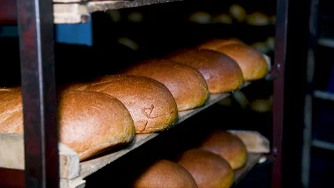 Loafs of bread in a bakery on an automated conveyor belt Stock Footage 310053106