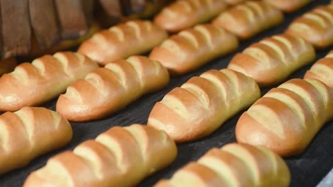 Loaves of bread and loaves of bread on the production line in the bakery. Stock Footage 130719285