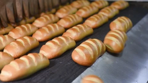 Loaves of bread and loaves of bread on the production line in the bakery. Stock Footage 142276147