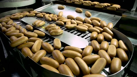 Loaves of Bread and Loaves of Bread on the Production Line in the Bakery. Hot Stock Footage 145423734
