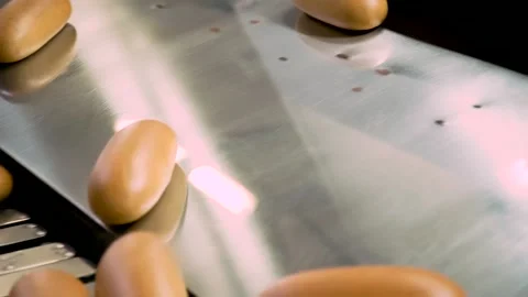Loaves of Bread and Loaves of Bread on the Production Line in the Bakery. Hot Stock Footage 145423993