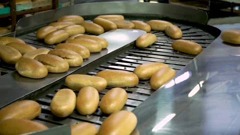 Loaves of Bread and Loaves of Bread on the Production Line in the Bakery. Hot Stock Footage 145424159