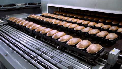 Loaves of Bread and Loaves of Bread on the Production Line in the Bakery. Hot Stock Footage 145424334