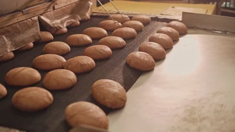 Loaves of bread on a production line in a bakery.  Vidéo 199377228