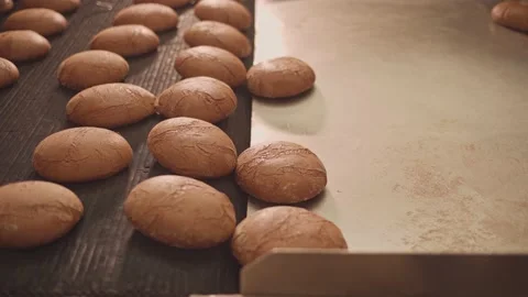 Loaves of bread on a production line in a bakery. Vidéo 199377428